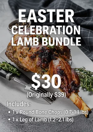 Celebrate Easter Lamb Bundle