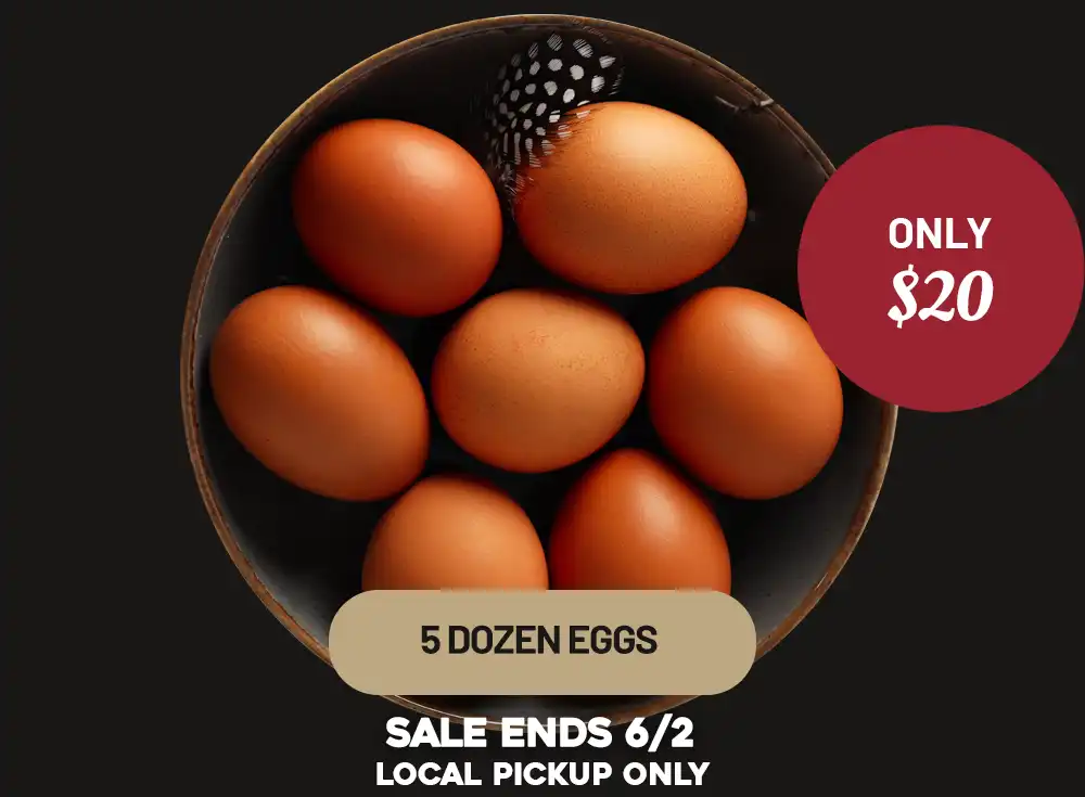 5 Dozen Eggs for Only $20!