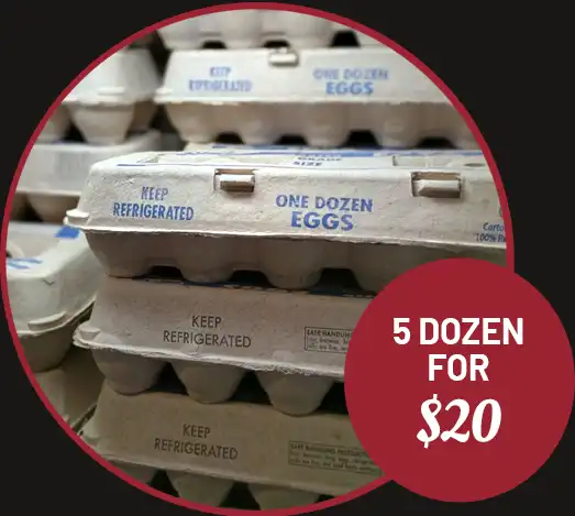5 Dozen Farm-fresh Eggs for $20!
