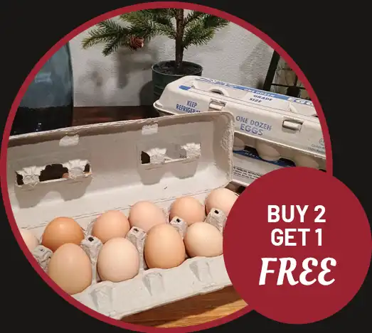 Farm Fresh Eggs: Buy 2, Get 1 Free!
