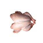 Pasture raised Turkey